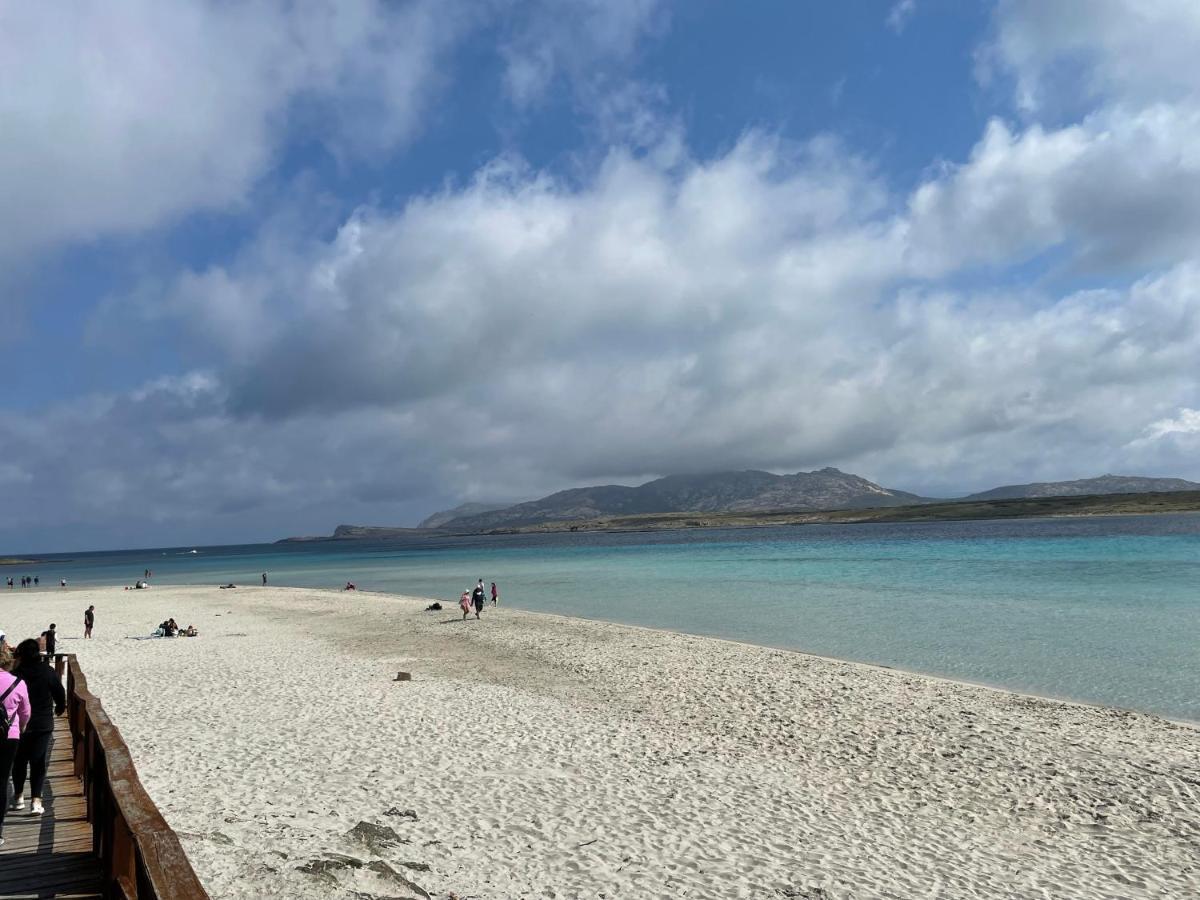 I Pescatori Di Stelle-L12 Altair Villa Stintino Exteriör bild