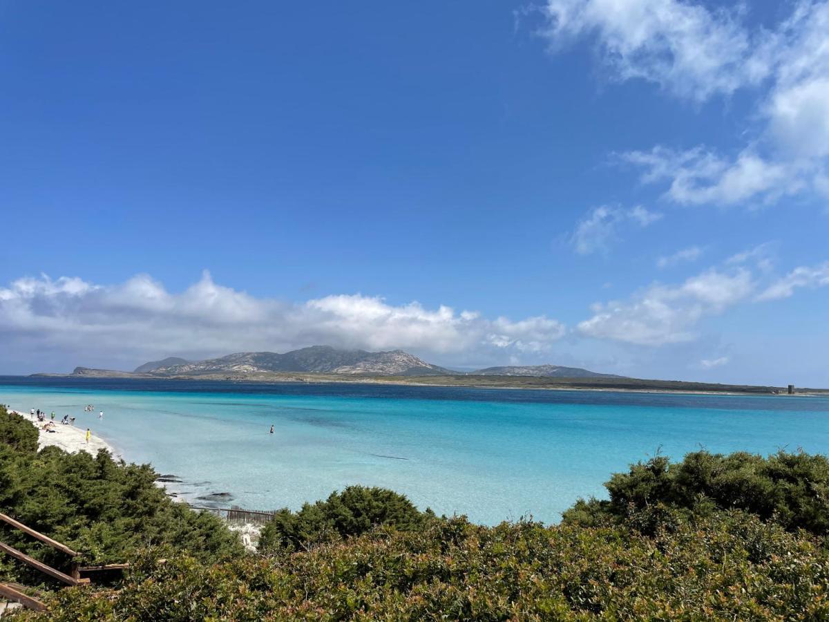 I Pescatori Di Stelle-L12 Altair Villa Stintino Exteriör bild