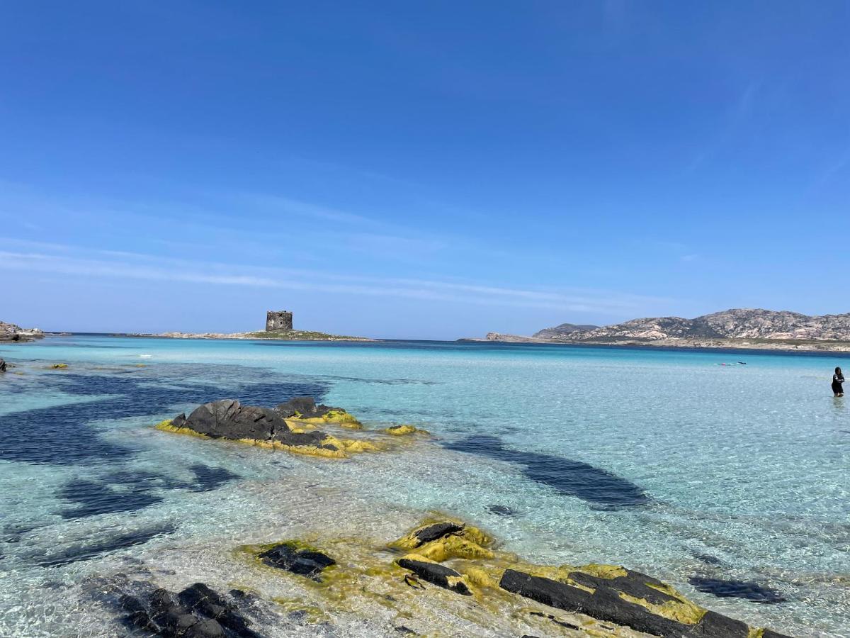 I Pescatori Di Stelle-L12 Altair Villa Stintino Exteriör bild